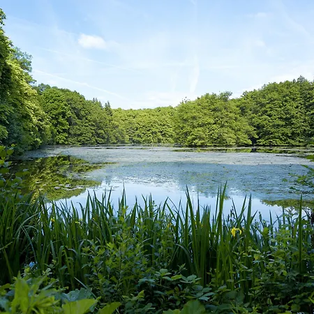 Jagdschloss Kranichstein فندق 4*