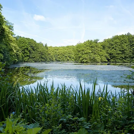 Hotel Jagdschloss Kranichstein 4*
