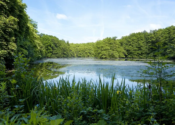 加格施洛斯克兰尼斯坦酒店 酒店 4*